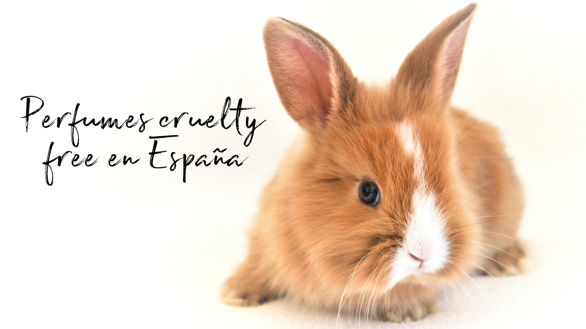 Perfumes cruelty free en España MAAR