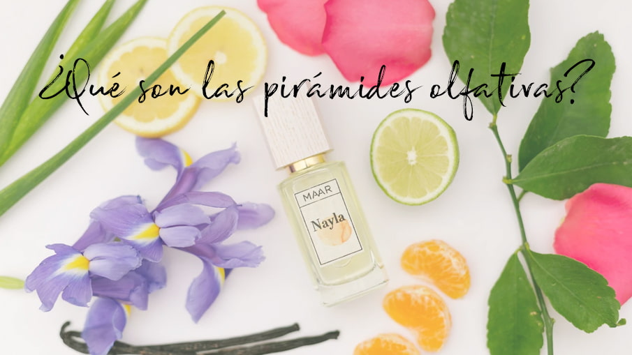 ¿Qué son las pirámides olfativas de los perfumes?