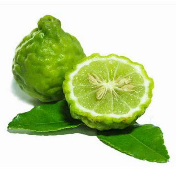 Bergamota