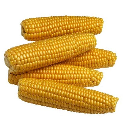 Xanthan Gum