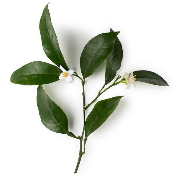 Neroli