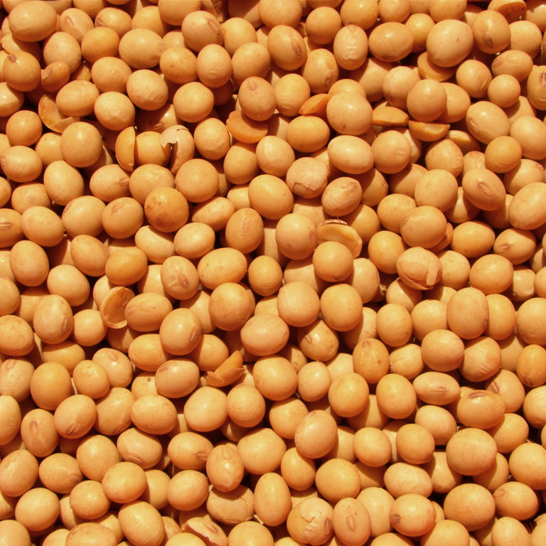 Stearic Acid