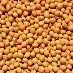 Glyceryl Stearate Citrate