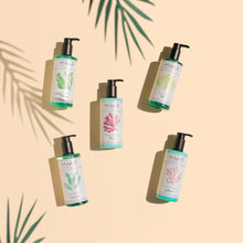 Load image into Gallery viewer, Válvula