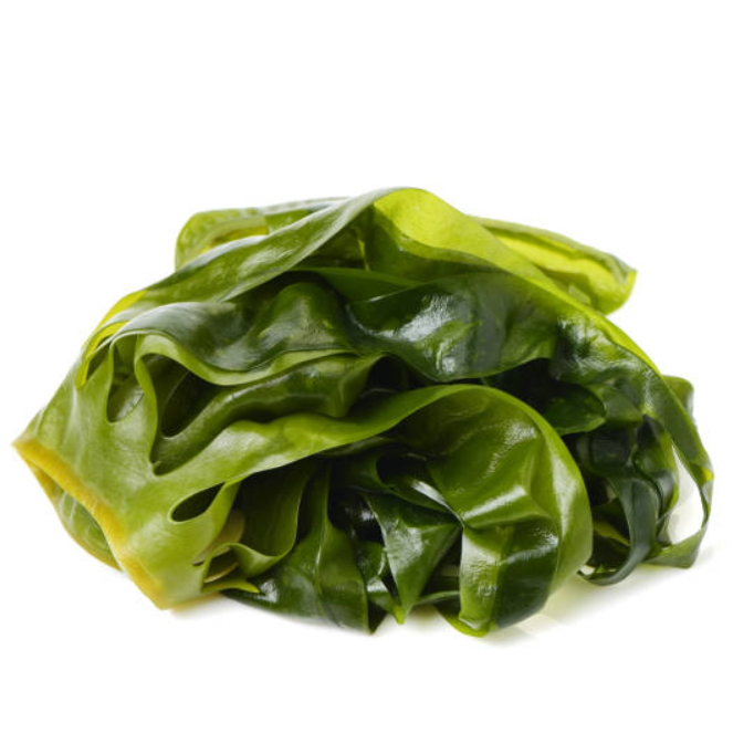 Undaria Pinnatifida Extract